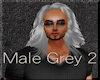 Male Grey 2