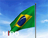 Brazil Flag