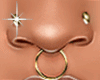 Nose Piercing  Gold
