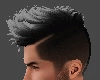 [J] James. Grey Hair