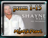 NO PROMISES SHAYNE WARD