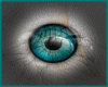[MAR]Blue realistic eye