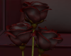 ☽ Glass Rose [Black]