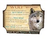 wolf spirit guide