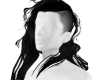 Siggy Void