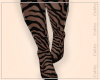 C l Zebra Boots RLL