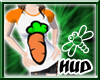 [HuD] New Cute Carrot