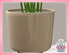 City Gold Potted Plant