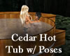 Cedar Hot Tub w/ Poses