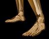 Skeleton FEET