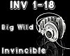 Big Wild~Invincible