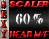 SEXY SCALER 60% HEAD