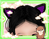 KID☠ Monster Ears