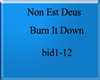 NonEstDeus-BurnItDown