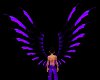 Male Purple Razor wings