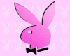 Pink Sexy Bunny