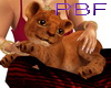 PBF*Playful Baby Lion