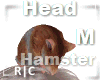 R|C Hamster Brown Head M