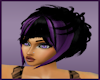 Black Beauty Purple Hair