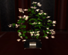 Elegant Flowering Tree