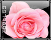 pink rose bud sticker