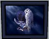 ~RB~ Moon Owls wall pic