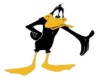 #d Daffy Duck