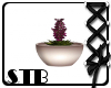 [STB] Derivable Plant