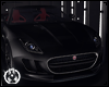 Jaguar Black Collection