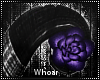 :W Purple Rose Horns