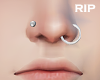 R. Nose piercings