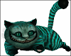 Alice Wonderland Cat