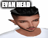 Evan Head