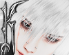 ♱ CAELUM