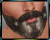 Brown Beard