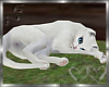 Marie * White Cat