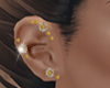 ::Z::Earrings>Gl>Diamond