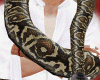 ☮ Snake
