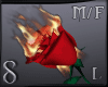 -S- Burning Red Rose L