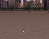 City Beach