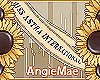 Miss Astra Internacional
