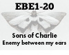 Sons of Charlie Enemy