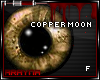 -:| Copper Moon |:-