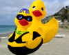 Two Ducky