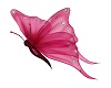 Dark Pink Butterfly