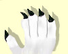 Back Claws M