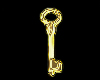 Key Gold Stiker