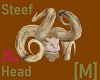Steef Head [M]