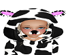 Cow Nose