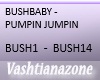 V-BUSHBABY-PUMPJUMP